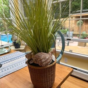 Decorative Basket with Green Grass and Shells